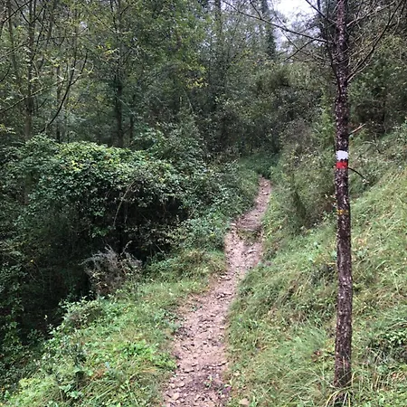 Masia El Bosquet