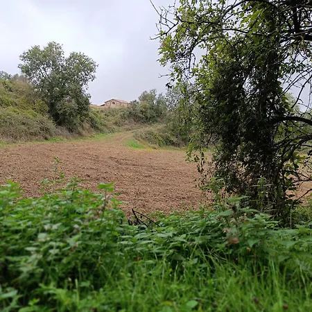 Alpehytte Masia El Bosquet